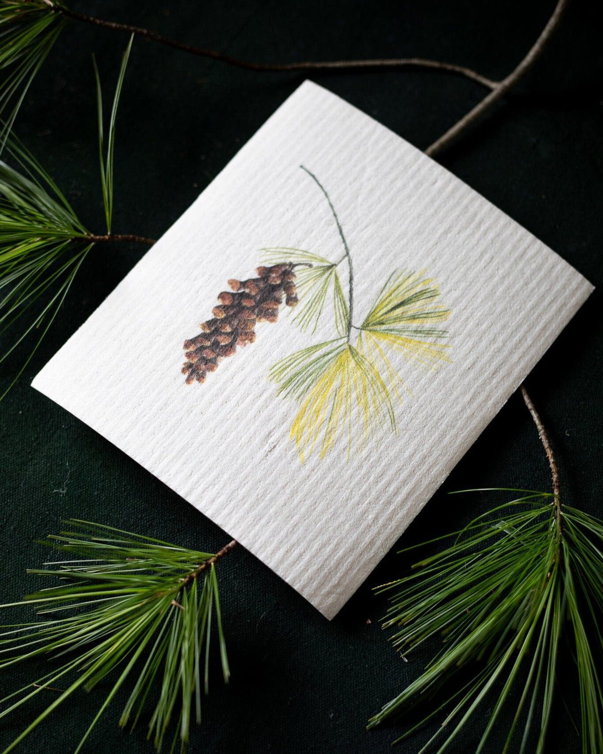 Bundle of 3 Swedish Dishcloths | Pears, Tangerine, and Pinecone Swedish Dishcloths sweetgum textiles company, LLC 