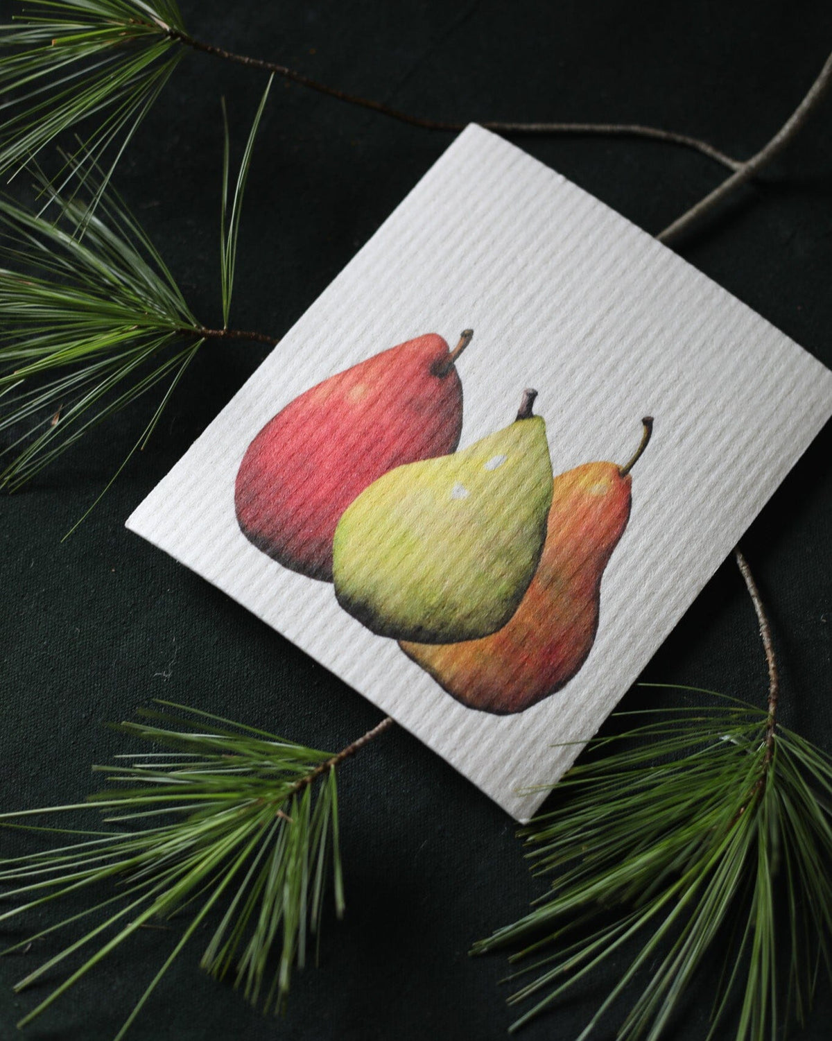 Bundle of 3 Swedish Dishcloths | Pears, Tangerine, and Pinecone Swedish Dishcloths sweetgum textiles company, LLC 